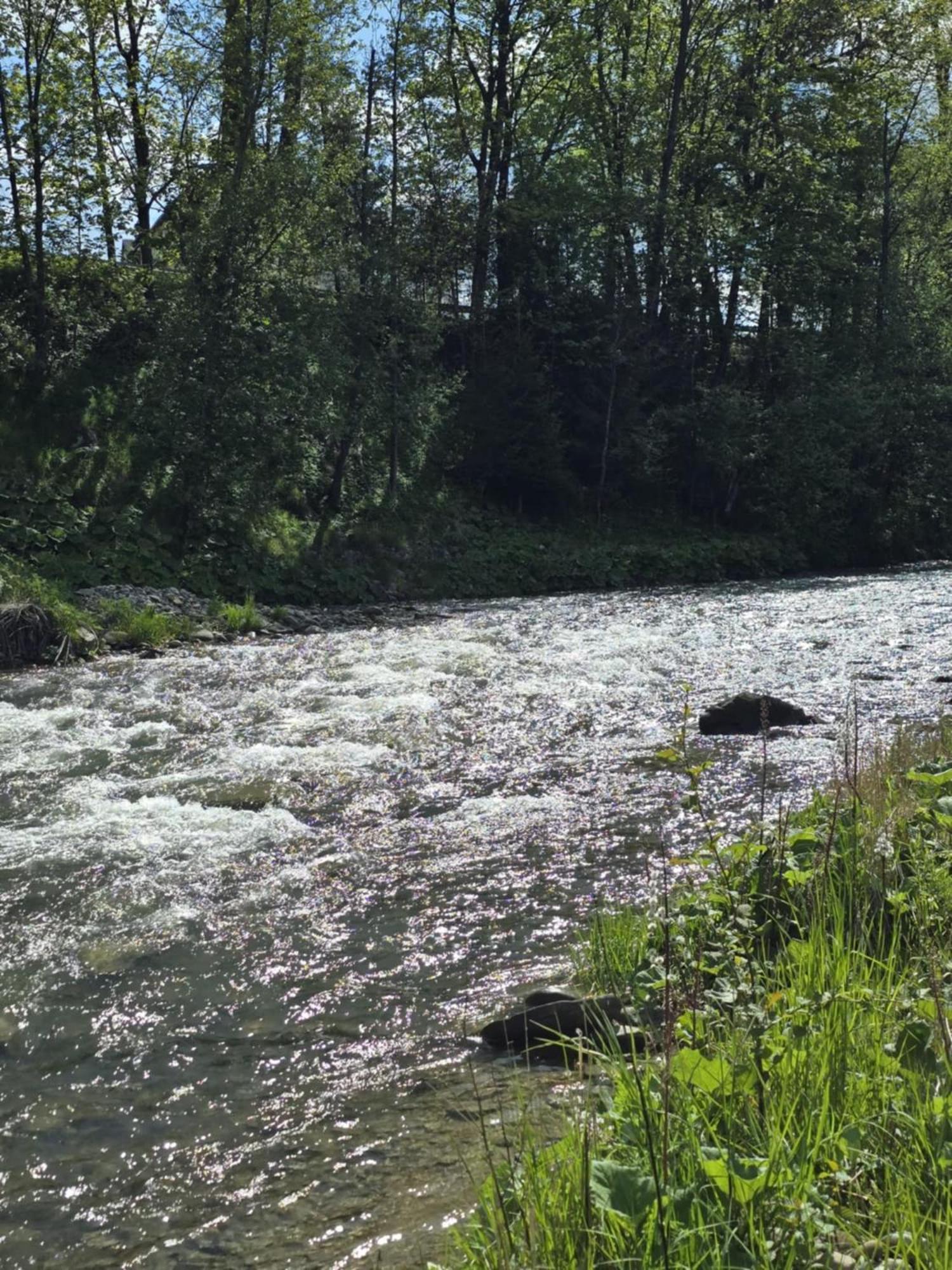 Chocholowska Zohylina Pokoje I Domek Экстерьер фото